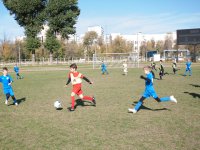 IMG_8124